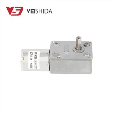 2430 Brushless DC Worm Gear Motor