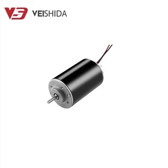 Poros Output Ganda 12V-24V Motor Sikat Karbon